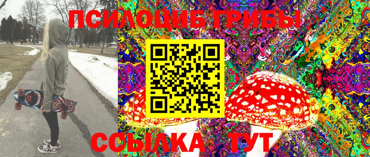Тихвин  купить  цена  Вход с VPN  Псилоцибиновые грибы Cubensis  Галлюциногенные грибы ЛСД 
