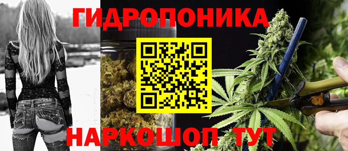 Бошки марихуана SATIVA & INDICA Тихвин